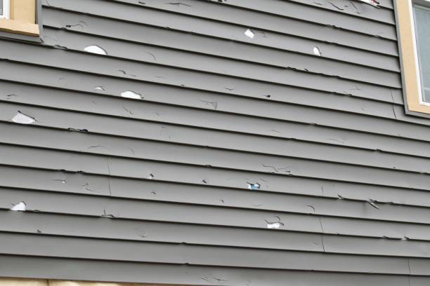 Best Recycling Services for Junk  in Chicopee, MA