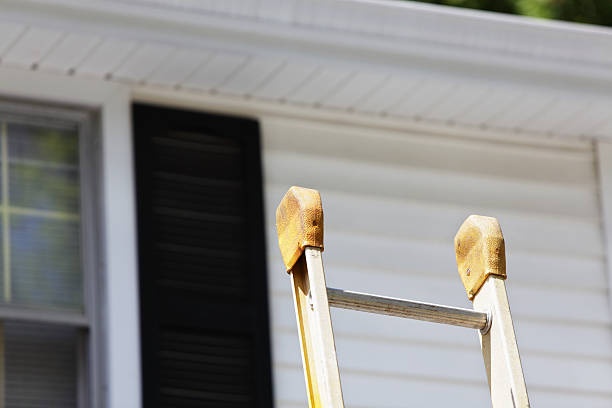 Best Dumpster Rental Services  in Chicopee, MA